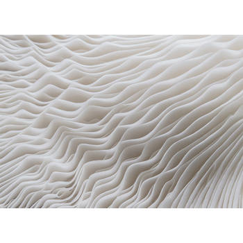 Inductiebeschermer - Abstracte Close Up Paddestoel - 82x52 cm