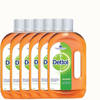 Dettol Allesreiniger Ontsmettingsmiddel - 6x750ML