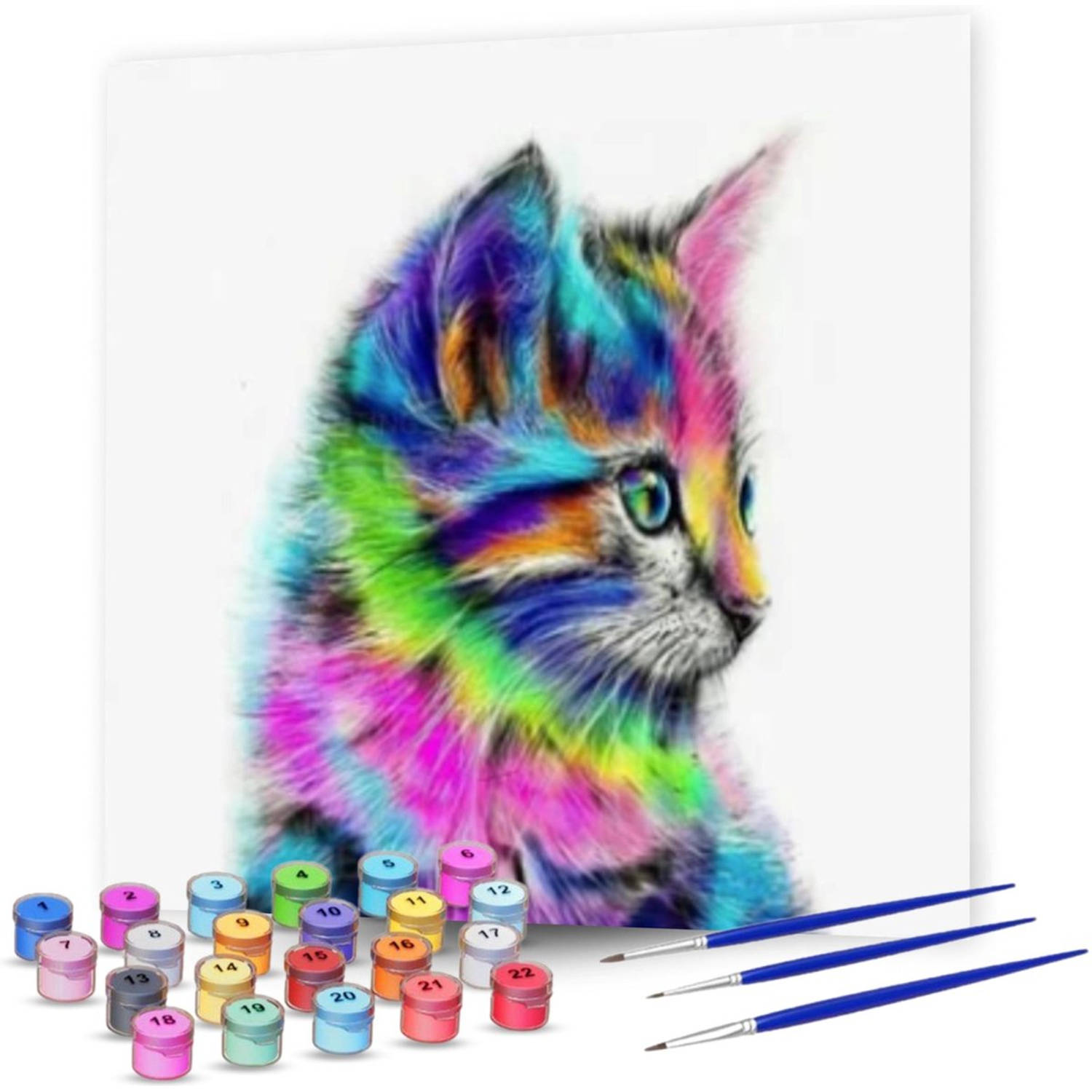 Rubye® Schilderen Op Nummer Volwassenen Kleurrijke Kat Met Canvas Schildersdoek en Penselen 40x50cm