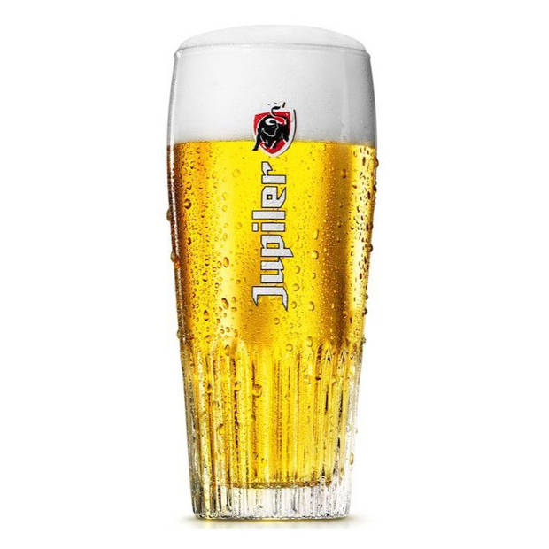 Jupiler Ribbel Bierglazen 25cl set van 12 - Bier Glas 0,25 l - 250 ml