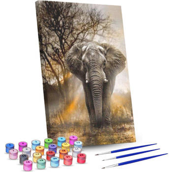 Rubye® Schilderen Op Nummer Volwassenen – Olifant – Met Canvas Schildersdoek en Penselen - 40x50cm