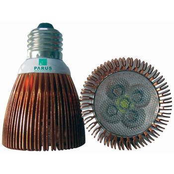 BTT - Parus LED bulb e-06 60 graden groei 6w