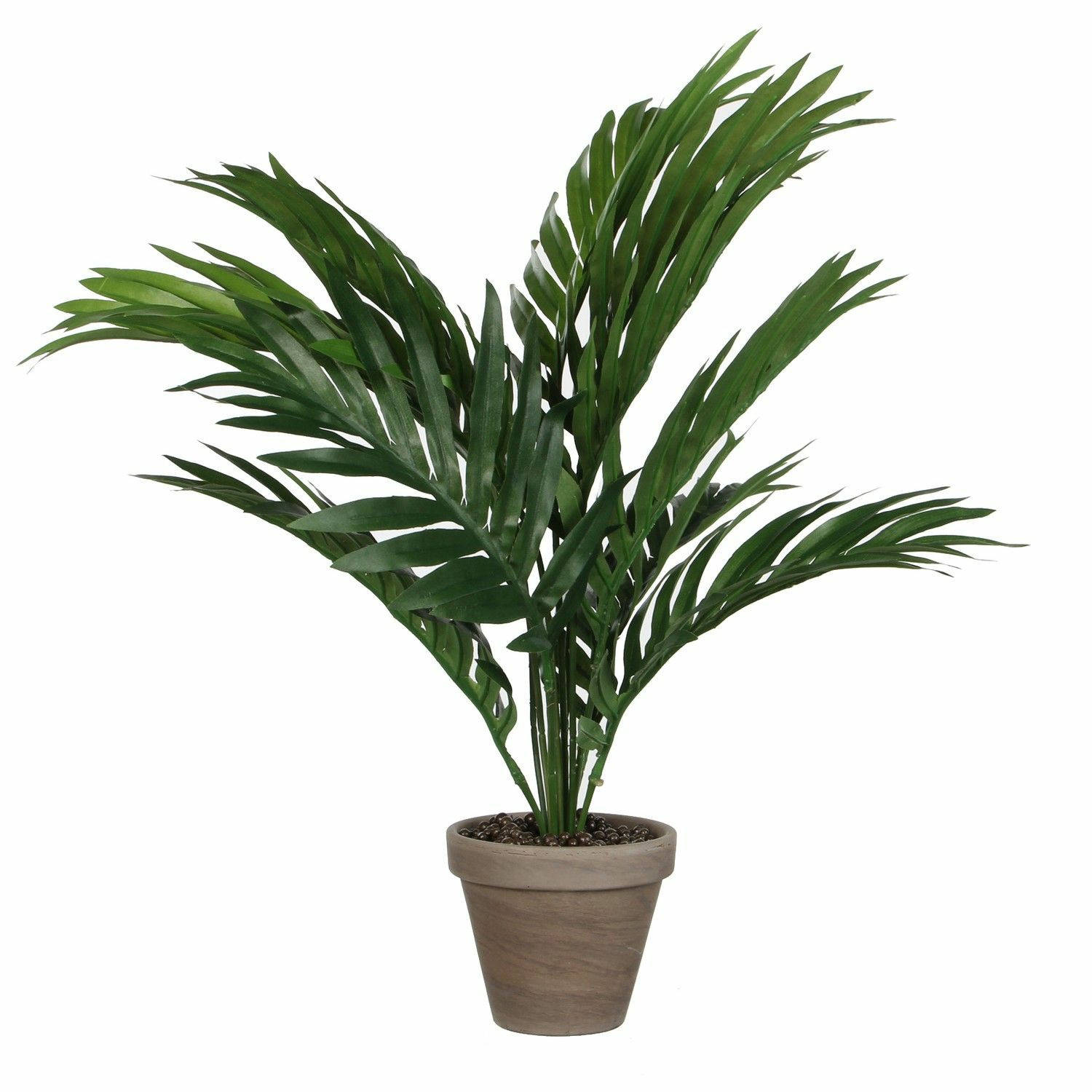 areca palm h45d60 groen in pot stan d11.5 grey