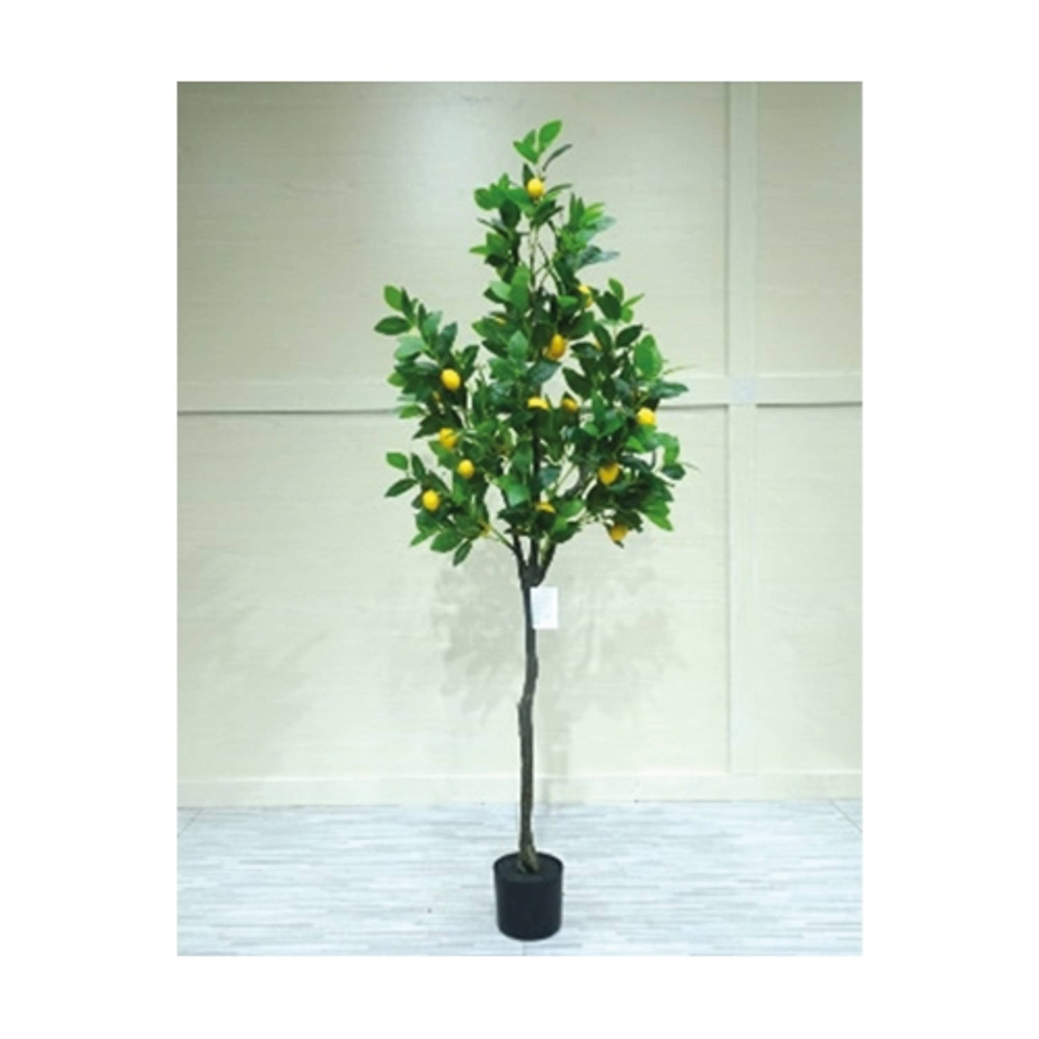 Buitengewoon de Boet Kunstplant Citroenplant 160 cm