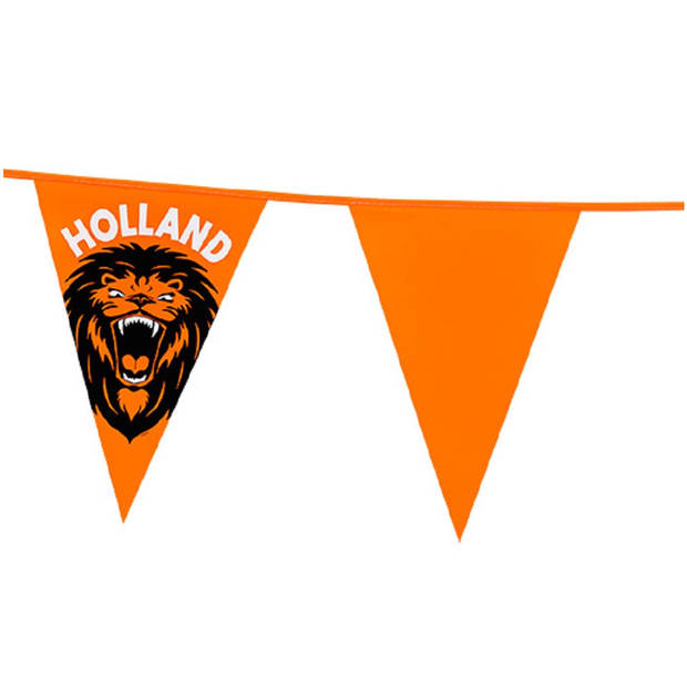 Vlaggenlijn - 2x - oranje met leeuw - 6 meter - 15 vlaggen - kunststof - Vlaggenlijnen