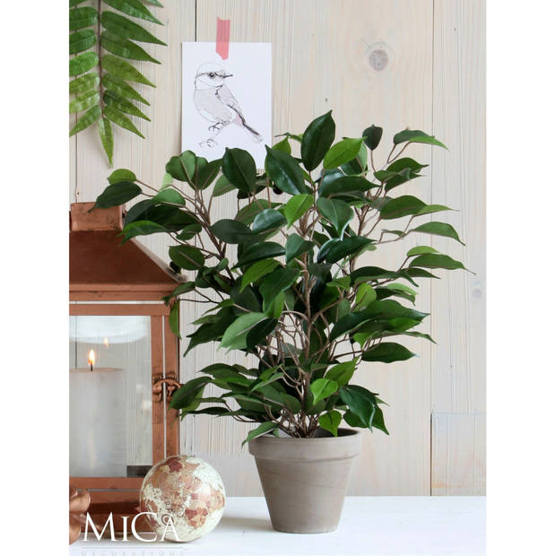 Groene ficus kunstplant 40 cm - Kunstplanten