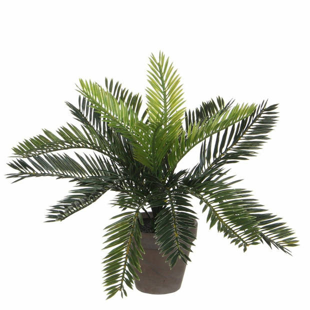 Groene Cycaspalm kunstplant 33 cm met zwarte pot - Kunstplanten