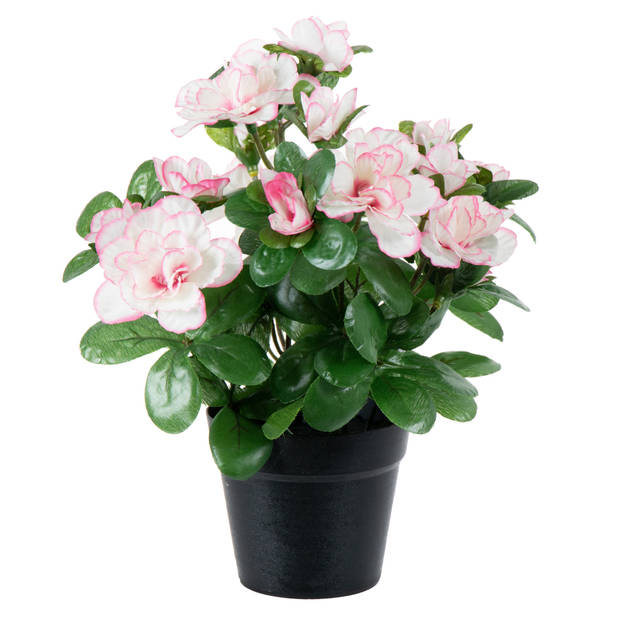 Azalea Kunstbloemen - in pot - wit/roze - H25 cm - Kunstplanten