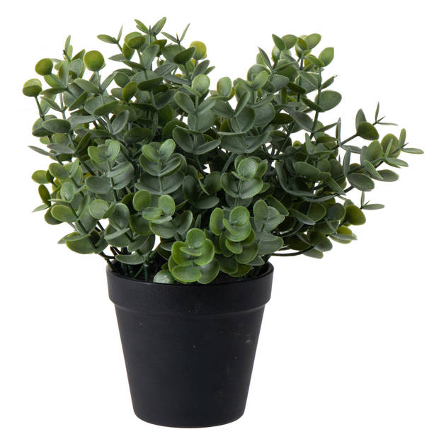 Eucalyptus Kunstplant - in pot - groen - H28 cm - Kunstplanten