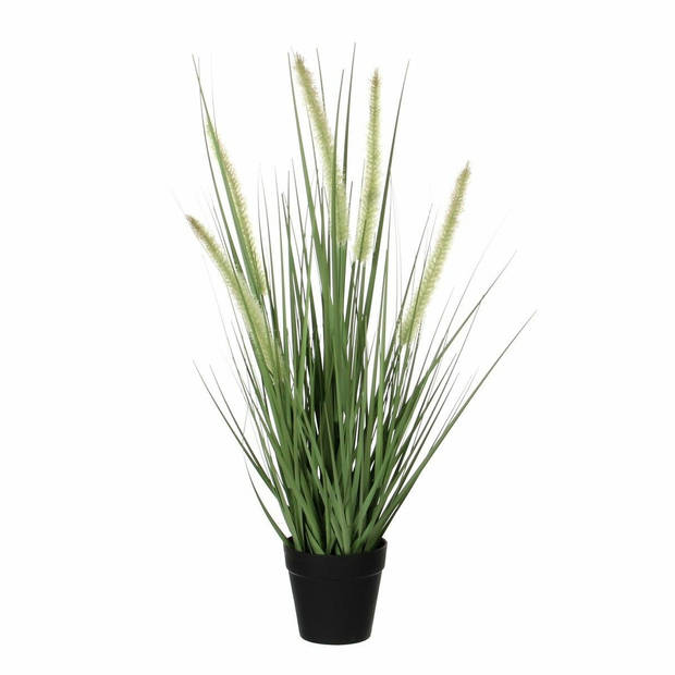 Groene Dogtail siergras kunstplanten H53 x D30 cm met zwarte pot - Kunstplanten