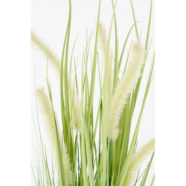 Groene Dogtail siergras kunstplanten H53 x D30 cm met zwarte pot - Kunstplanten