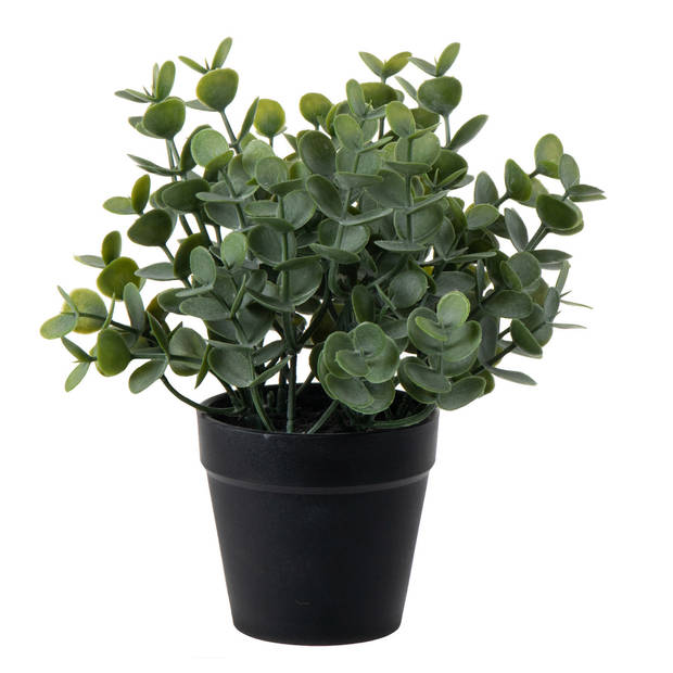 Eucalyptus Kunstplant - in pot - groen - H20 cm - Kunstplanten