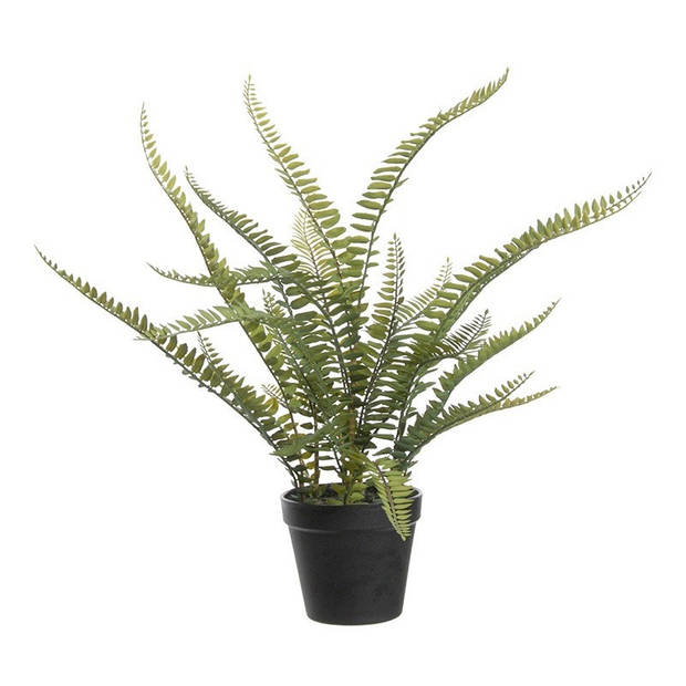 Varen Nephrolepis - Kunstplant - Groen - 50 cm - Kunstplanten