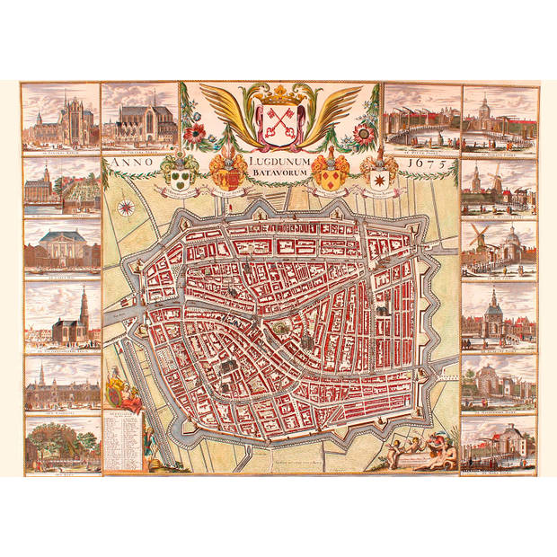 Tucker's Fun Factory Leiden cartografie (1000)