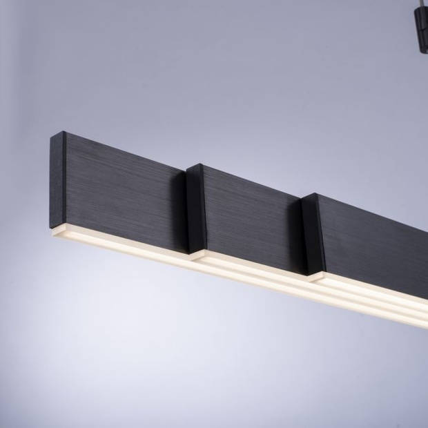 Paul Neuhaus Hanglamp e-Slide L 120-200 cm donker grijs