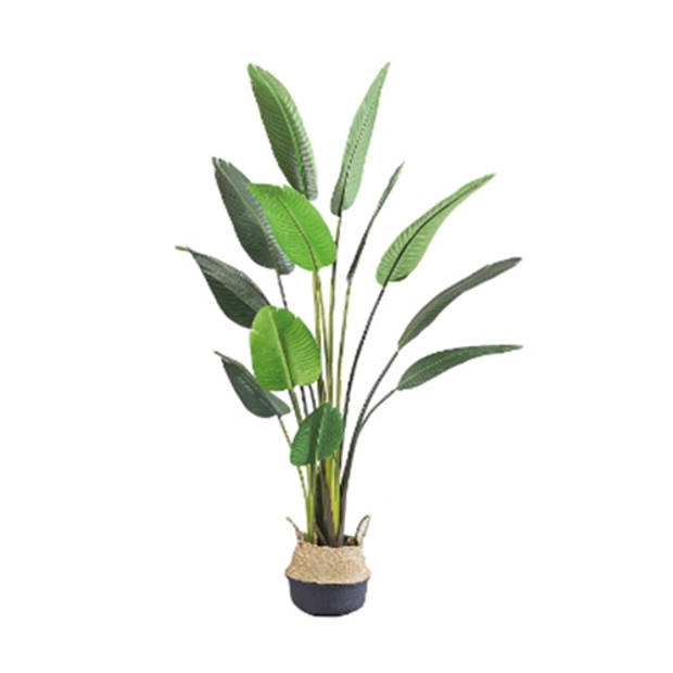 Buitengewoon de Boet - Kunstplant Blad Strelitzia Soft 120 cm