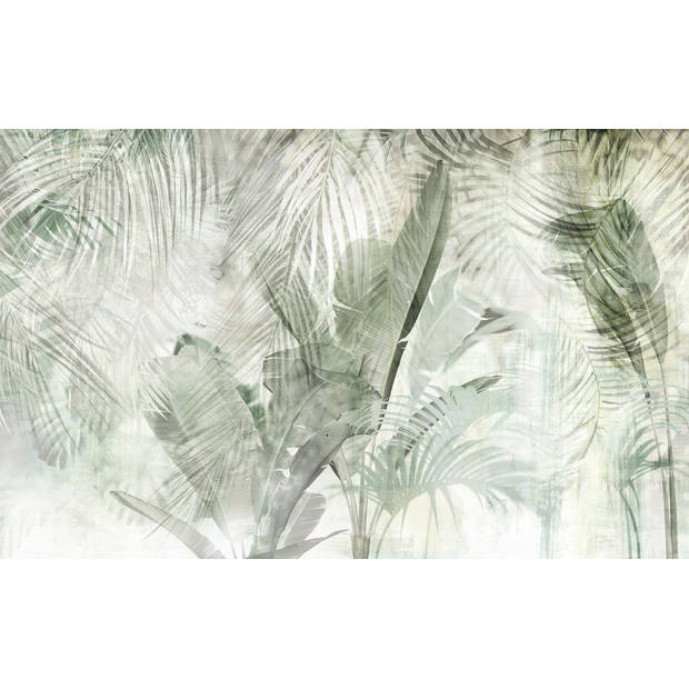 Fotobehang - Botanical Boho 400x250cm - Vliesbehang