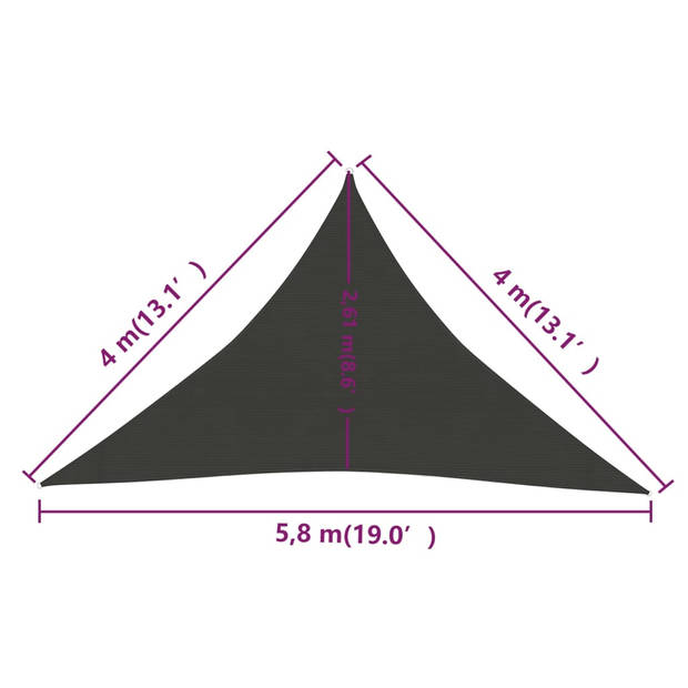 vidaXL Zonnezeil 160 g/m² 4x4x5,8 m HDPE antracietkleurig