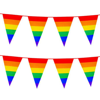 2x Stuks Boland PE vlaggenlijn - 8m - Regenboog - Universeel Thema - Vlaggenlijnen