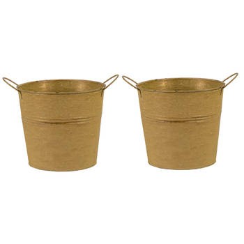 Mega Collections Emmer/plantenpot - 2x - zink - oud goud - D18 x H16 cm - Emmers