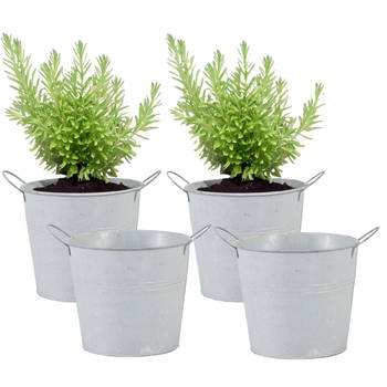 Mega Collections Emmer/plantenpot - 4x - zink - whitewash - D16 x H14 cm - Emmers