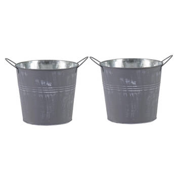 Mega Collections Emmer/plantenpot - 2x - zink - zilvergrijs - D18 x H16 cm - Emmers