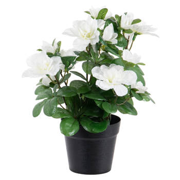 Azalea Kunstbloemen - in pot - wit - H25 cm - Kunstplanten