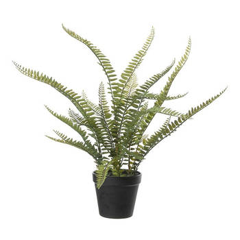 Varen Nephrolepis - Kunstplant - Groen - 50 cm - Kunstplanten