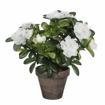 Groene Azalea kunstplanten met witte bloemen 27 cm met pot stan grey - Kunstplanten