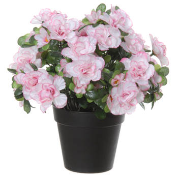 Azalea Kunstbloemen - in pot - wit/roze - H28 cm - Kunstplanten