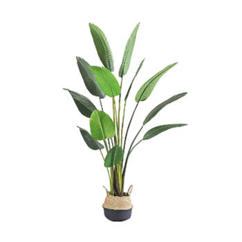 Buitengewoon de Boet - Kunstplant Blad Strelitzia Soft 120 cm