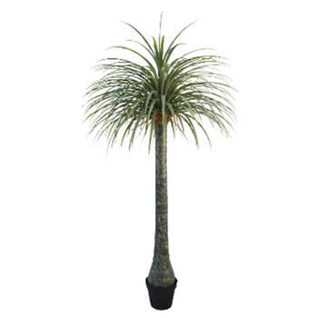 Buitengewoon de Boet - Kunstplant Yucca 220 cm