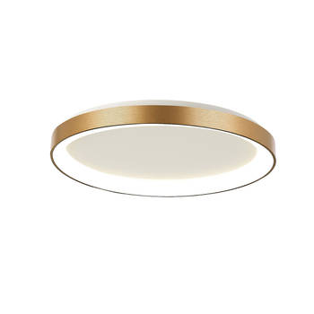 Steinhauer plafonniere Ringlede - goud - kunststof - 28 cm - ingebouwde LED-module - 3690GO