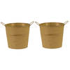 Mega Collections Emmer/plantenpot - 2x - zink - oud goud - D18 x H16 cm - Emmers