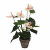 Kunstplant anthurium lichtroze flamingoplant in pot 40 cm - Kunstplanten