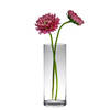 Hakbijl glass bloemenvaas - Transparant - glas - D19 x H60 cm - Cilinder vormig - Vazen