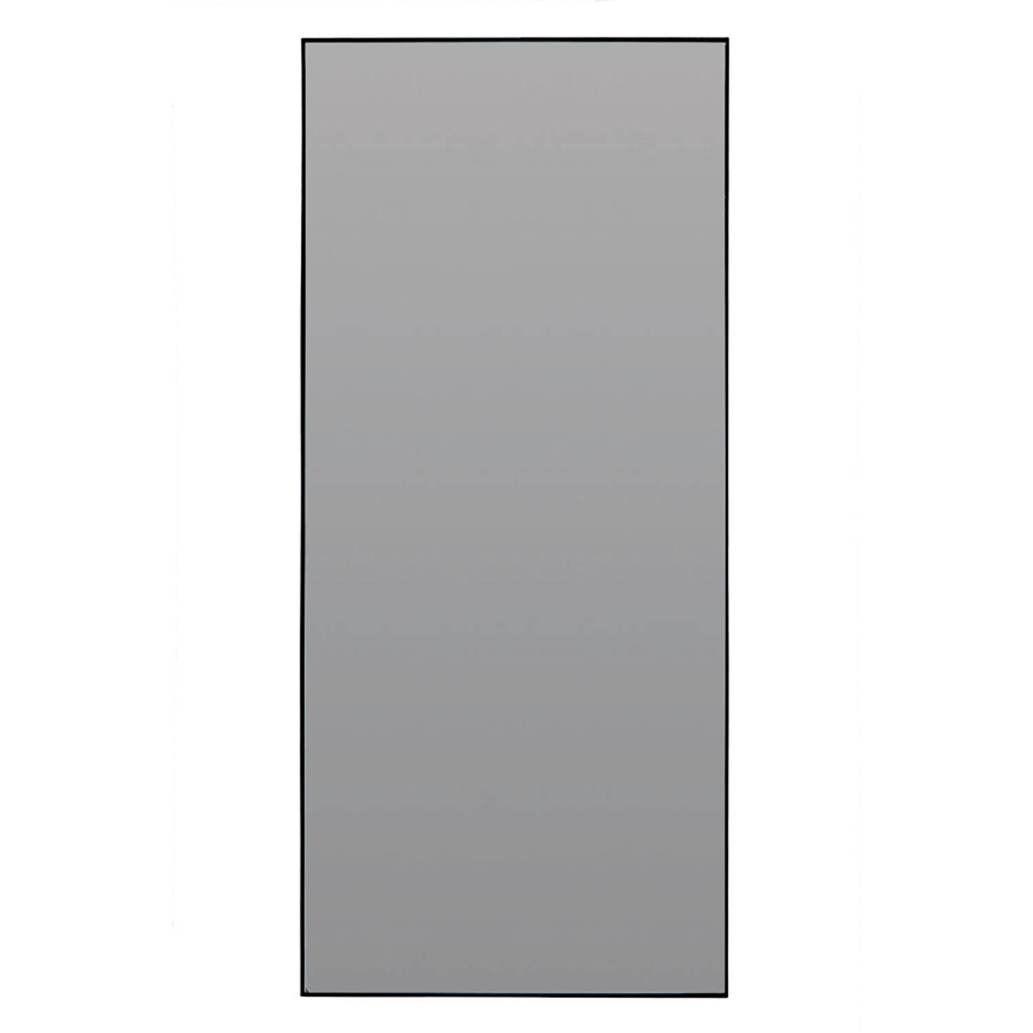 Light & Living Spiegel ZENETA 80x1.5x180cm Grijs