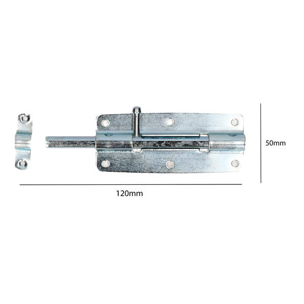 Deltafix schuifslot/plaatgrendel - 1x - 12 x 5cm - verzinkt staal - deur - schutting - hek - Grendels