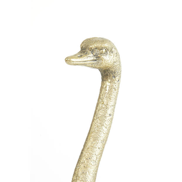 Light&living Ornament 19,5x14,5x45 cm OSTRICH licht goud