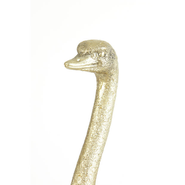 Light&living Ornament 31x18,5x66 cm OSTRICH licht goud