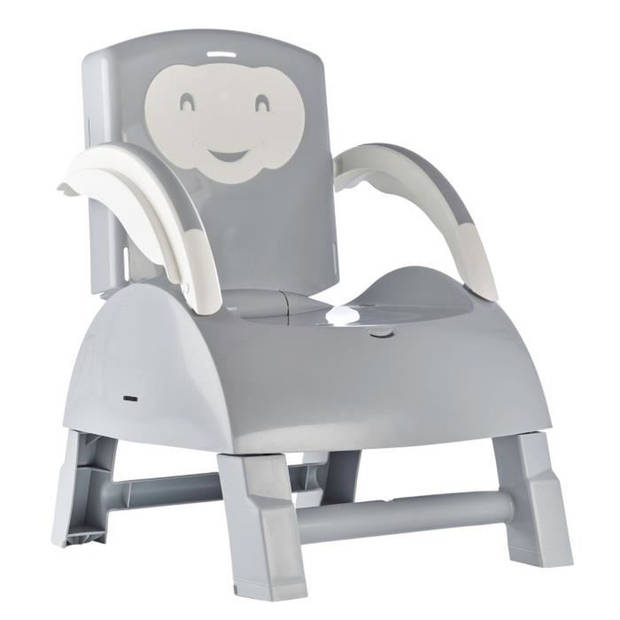 ThermoBaby Booster van stoel 2 in 1 Charming Grey