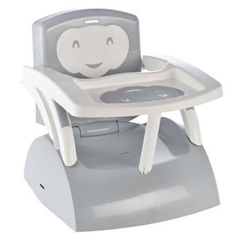 ThermoBaby Booster van stoel 2 in 1 Charming Grey