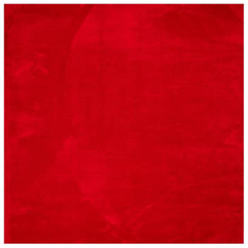 vidaXL Vloerkleed HUARTE laagpolig zacht wasbaar 240x240 cm rood