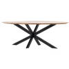 Giga Meubel - Eettafel Ovaal Mangohout - 240x110x78cm - Diamond