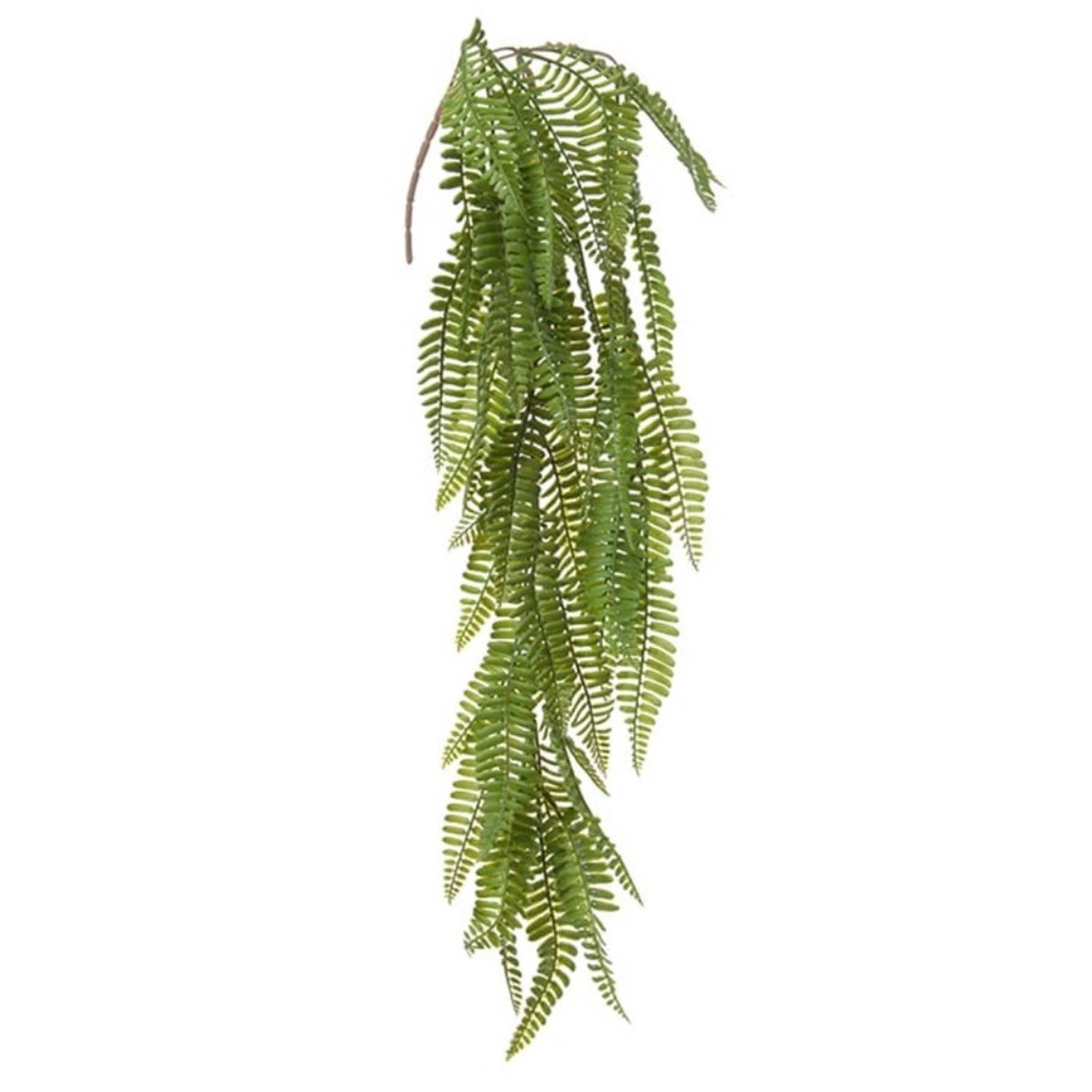 Louis Maes kunstplanten - Varen - groen - hangende takken bos van 70 cm - hangplant