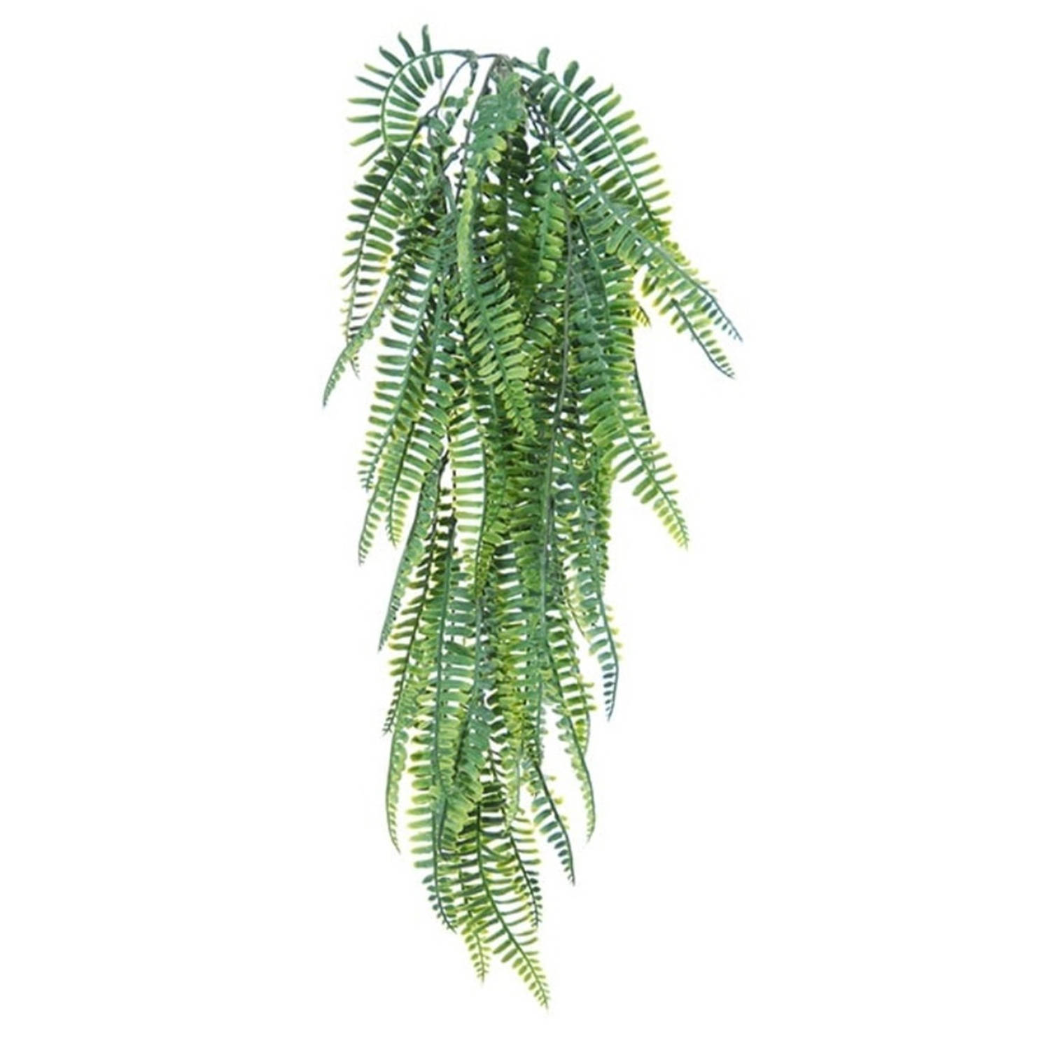 Louis Maes kunstplanten - Varen - groen - hangende takken bos van 55 cm