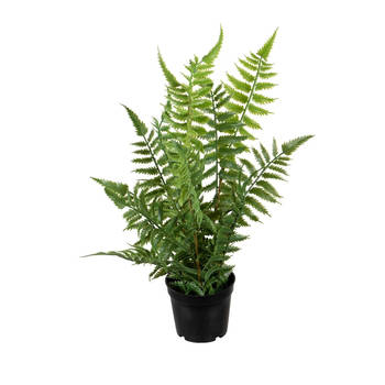 Louis Maes kunstplanten - Bosvaren - groen - in pot - 38 cm - Kunstplanten