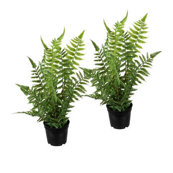 Louis Maes kunstplanten - 2x - Bosvaren - groen - in pot - 38 cm - Kunstplanten