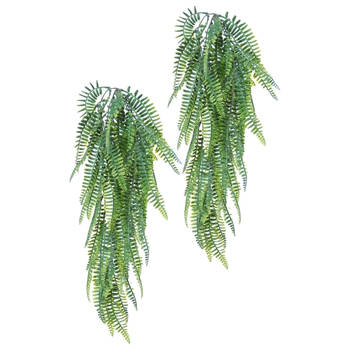 Louis Maes kunstplanten - 2x - Varen - groen - hangende takken bos van 55 cm - Kunstplanten