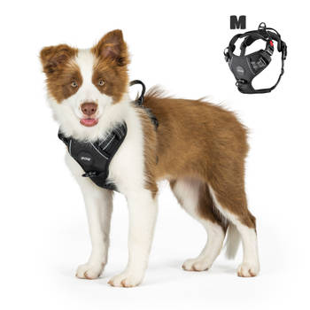 Mister Mill Hondentuigje 3x Klikgesp Maat M Zwart - Anti-Trek Tuig Hondenharnas - Y Tuig Hond Reflecterend